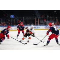 Kansas City Mavericks' Bradley Schoonbaert and Allen Americans' Hank Crone in action