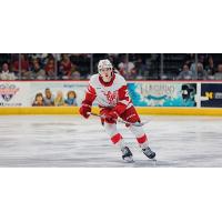 Grand Rapids Griffins forward Trenton Bliss