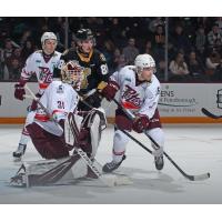 Peterborough Petes' Zachary Bowen, Samuel Mayer, and Cam Gauvreau and Kingston Frontenacs' Jacob Battaglia on game night