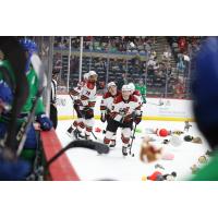 Tucson Roadrunners on Teddy Bear Toss Night