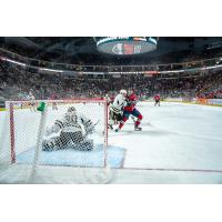 Springfield Thunderbirds look for a goal vs. the Hershey Bears