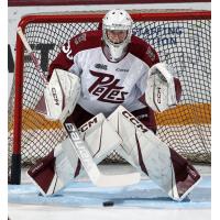 Peterborough Petes' Easton Rye on game night