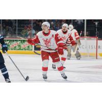 Grand Rapids Griffins forward Austin Czarnik