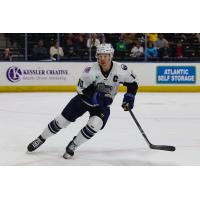 Jacksonville Icemen forward Christopher Brown