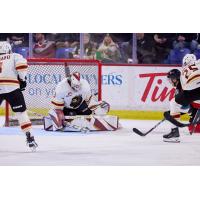 Vancouver Giants goaltender Brett Mirwald