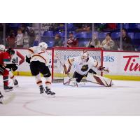 Vancouver Giants goaltender Brett Mirwald