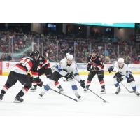 Belleville Seantors face the Cleveland Monsters