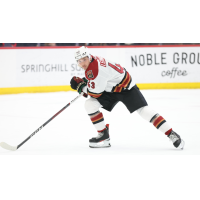 Tucson Roadrunners left wing John Leonard