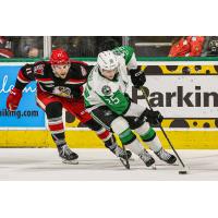 Grand Rapids Griffins' Joel L'Esperance battles Texas Stars' Christian Kyrou