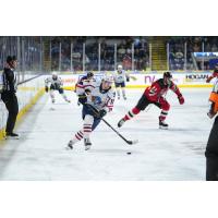 Springfield Thunderbirds forward Hugh McGing