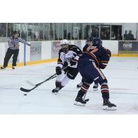 Ryan Lin skating with the Vancouver Giants in preseason action