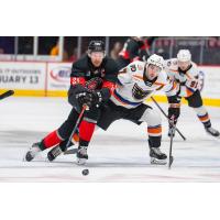 Charlotte Checkers' Zac Dalpe versus Lehigh Valley Phantoms' Louie Belpedio