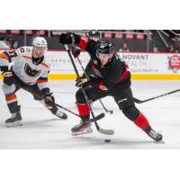 Lehigh Valley Phantoms' Adam Ginning and Charlotte Checkers' Jake Wise on the ice