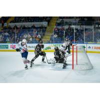 Springfield Thunderbirds battle the Hershey Bears