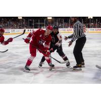 Allen Americans' Blake Murray versus Rapid City Rush's Maurizio Colella