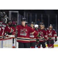 Tucson Roadrunners' Jan Jenik congratulated by team