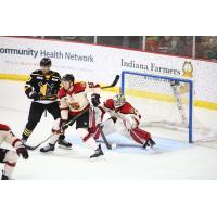 Indy Fuel's Christopher Cameron in action