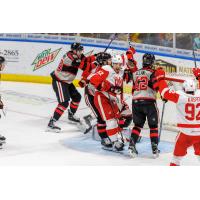 Grand Rapids Griffins' Zach Aston-Reese in action