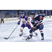 Orlando Solar Bears' Alexander Frye versus South Carolina Stingrays' Benton Maass