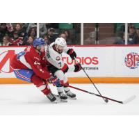 Laval Rocket's Logan Mailloux battles Belleville Senators' Jarid Lukosevicius