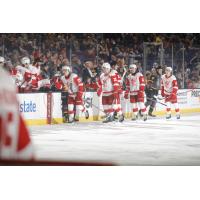 Grand Rapids Griffins' Cross Hanas, Brogan Rafferty, and Zach Aston-Reese congratulated by team