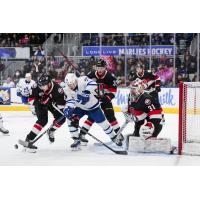 Belleville Senators defend against the Toronto Marlies