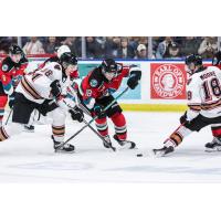 Calgary Hitmen's Brandon Gorzynski and Ethan Moore battle Kelowna Rockets' Ethan Neutens