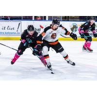 Forward Brett Calhoon with the Medicine Hat Tigers (right)