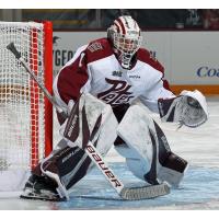 Peterborough Petes goaltender Liam Sztuska