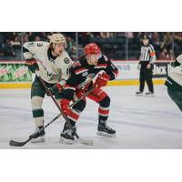 Grand Rapids Griffins battle the Iowa Wild