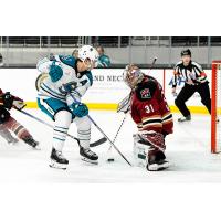 San Jose Barracuda's Justin Bailey battles Tucson Roadrunners' Matthew Villalta