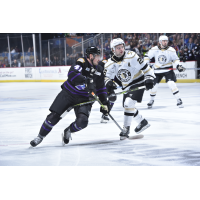 Orlando Solar Bears' Alexandre Fortin and Wheeling Nailers' Louie Roehl in action