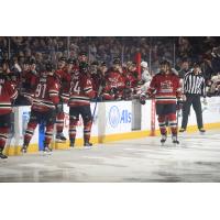 Tucson Roadrunners' Jan Jenik and Josh Doan congratulated by team