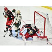 Grand Rapids Griffins' 	Joel L'Esperance and Sebastian Cossa battle Iowa Wild's Samuel Walker