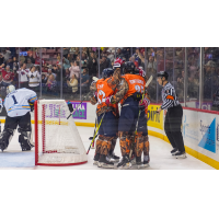 South Carolina Stingrays celebrate win