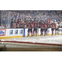 Tucson Roadrunners' Milos Kelemen, Jan Jenik, Josh Doan, Patrik Koch, and Montana Onyebuchi congratulated by team