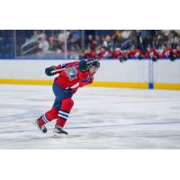 Springfield Thunderbirds defenseman Marc-Andre Gaudet