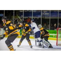 Worcester Railers try to set up their offense against the Maine Mariners