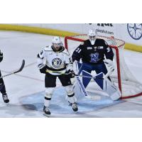 Wheeling Nailers forward Matthew Quercia looks for a scoring opportunity