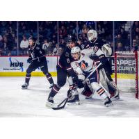 Forward Connor Levis with the Kamloops Blazers