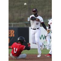 Sioux City Explorers infielder Delvin Zinn