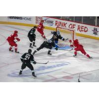 Allen Americans battle the Utah Grizzlies