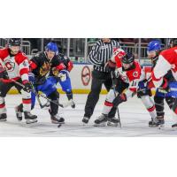 Wichita Thunder battles the Cincinnati Cyclones