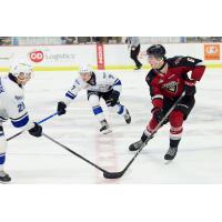 Vancouver Giants defenceman Colton Roberts