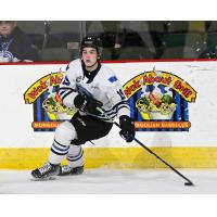 Wenatchee Wild forward Miles Cooper