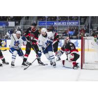 Belleville Senators battle the Toronto Marlies