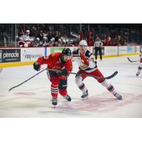 Rockford IceHogs' Brandon Baddock and Grand Rapids Griffins' Simon Edvinsson in action