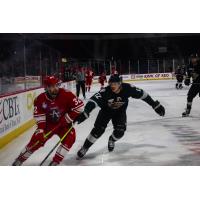 Allen Americans' Mikael Robidoux and Utah Grizzlies' Quinn Wichers in action