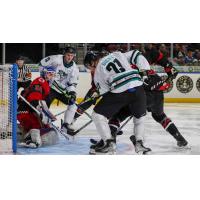 Wichita Thunder battle the Cincinnati Cyclones