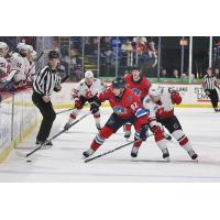 Springfield Thunderbirds' Jakub Vrána in action